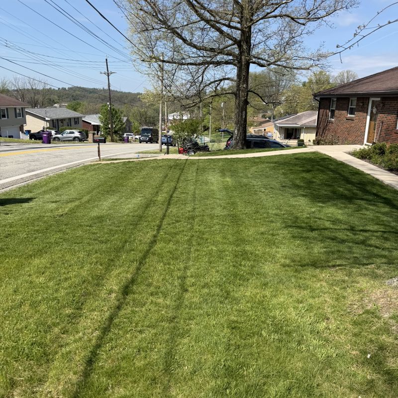 Freshly mowed lawn with crisp stripes in Brackenridge PA