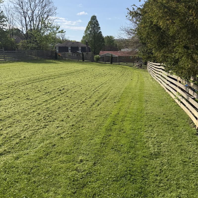 Long mowing stripes on a residential property