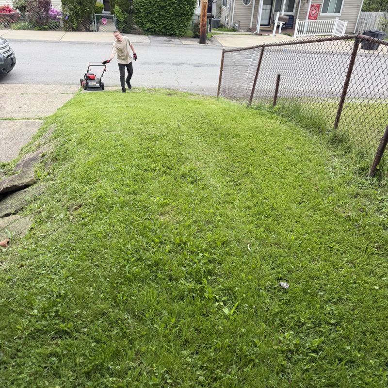 Clean lines on a sloped yard